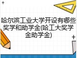 哈尔滨工业大学开设有哪些奖学和助学金(哈工大奖学金助学金)