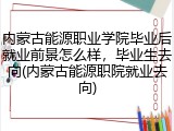 内蒙古能源职业学院毕业后就业前景怎么样，毕业生去向(内蒙古能源职院就业去向)