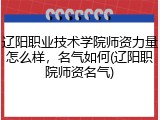 辽阳职业技术学院师资力量怎么样，名气如何(辽阳职院师资名气)