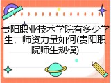 贵阳职业技术学院有多少学生，师资力量如何(贵阳职院师生规模)