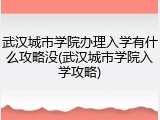 武汉城市学院办理入学有什么攻略没(武汉城市学院入学攻略)