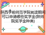陕西学前师范学院就读期间可以申请哪些奖学金(陕师院奖学金种类)