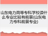 山东电力高等专科学校读什么专业比较有前景(山东电力专科前景专业)