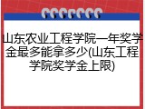山东农业工程学院一年奖学金最多能拿多少(山东工程学院奖学金上限)