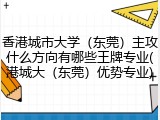 香港城市大学（东莞）主攻什么方向有哪些王牌专业(港城大（东莞）优势专业)