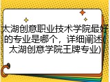 太湖创意职业技术学院最好的专业是哪个，详细阐述(太湖创意学院王牌专业)