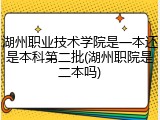 湖州职业技术学院是一本还是本科第二批(湖州职院是二本吗)
