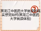 黑龙江中医药大学就读的真实感觉如何(黑龙江中医药大学就读体验)