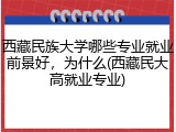 西藏民族大学哪些专业就业前景好，为什么(西藏民大高就业专业)