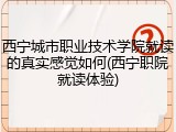 西宁城市职业技术学院就读的真实感觉如何(西宁职院就读体验)