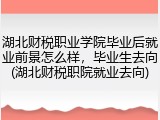 湖北财税职业学院毕业后就业前景怎么样，毕业生去向(湖北财税职院就业去向)