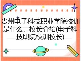贵州电子科技职业学院校训是什么，校长介绍(电子科技职院校训校长)