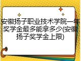 安徽扬子职业技术学院一年奖学金最多能拿多少(安徽扬子奖学金上限)