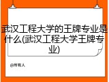 武汉工程大学的王牌专业是什么(武汉工程大学王牌专业)