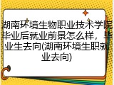 湖南环境生物职业技术学院毕业后就业前景怎么样，毕业生去向(湖南环境生职就业去向)