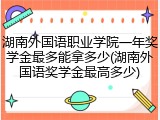 湖南外国语职业学院一年奖学金最多能拿多少(湖南外国语奖学金最高多少)