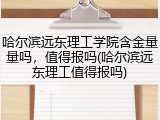 哈尔滨远东理工学院含金量量吗，值得报吗(哈尔滨远东理工值得报吗)