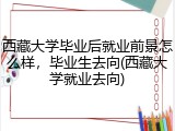 西藏大学毕业后就业前景怎么样，毕业生去向(西藏大学就业去向)