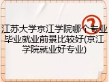 江苏大学京江学院哪个专业毕业就业前景比较好(京江学院就业好专业)