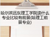 哈尔滨远东理工学院读什么专业比较有前景(哈理工前景专业)