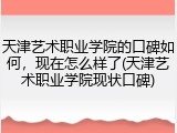 天津艺术职业学院的口碑如何，现在怎么样了(天津艺术职业学院现状口碑)