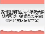贵州经贸职业技术学院就读期间可以申请哪些奖学金(贵州经贸职院奖学金)
