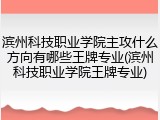 滨州科技职业学院主攻什么方向有哪些王牌专业(滨州科技职业学院王牌专业)