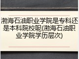 渤海石油职业学院是专科还是本科院校呢(渤海石油职业学院学历层次)