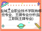 盐城工业职业技术学院有哪些专业，王牌专业分析(盐工职院王牌专业)