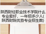 陕西财经职业技术学院什么专业最好，一年招多少人(陕西财院优势专业招生数)