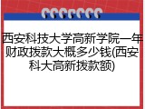 西安科技大学高新学院一年财政拨款大概多少钱(西安科大高新拨款额)