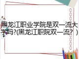 黑龙江职业学院是双一流大学吗?(黑龙江职院双一流？)