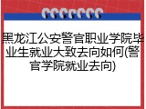 黑龙江公安警官职业学院毕业生就业大致去向如何(警官学院就业去向)