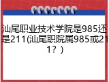 汕尾职业技术学院是985还是211(汕尾职院属985或211？)