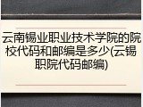 云南锡业职业技术学院的院校代码和邮编是多少(云锡职院代码邮编)