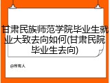 甘肃民族师范学院毕业生就业大致去向如何(甘肃民院毕业生去向)