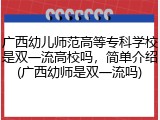广西幼儿师范高等专科学校是双一流高校吗，简单介绍(广西幼师是双一流吗)