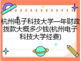 杭州电子科技大学一年财政拨款大概多少钱(杭州电子科技大学经费)