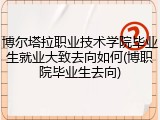博尔塔拉职业技术学院毕业生就业大致去向如何(博职院毕业生去向)