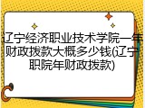 辽宁经济职业技术学院一年财政拨款大概多少钱(辽宁职院年财政拨款)