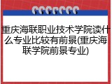 重庆海联职业技术学院读什么专业比较有前景(重庆海联学院前景专业)
