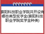 襄阳科技职业学院共开设有哪些类型奖学金(襄阳科技职业学院奖学金种类)