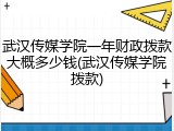 武汉传媒学院一年财政拨款大概多少钱(武汉传媒学院拨款)