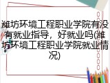 潍坊环境工程职业学院有没有就业指导，好就业吗(潍坊环境工程职业学院就业情况)