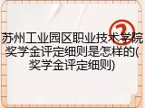 苏州工业园区职业技术学院奖学金评定细则是怎样的(奖学金评定细则)