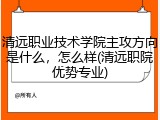 清远职业技术学院主攻方向是什么，怎么样(清远职院优势专业)