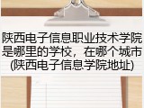 陕西电子信息职业技术学院是哪里的学校，在哪个城市(陕西电子信息学院地址)