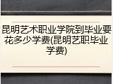 昆明艺术职业学院到毕业要花多少学费(昆明艺职毕业学费)