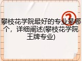 攀枝花学院最好的专业是哪个，详细阐述(攀枝花学院王牌专业)