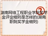 湖南网络工程职业学院奖学金评定细则是怎样的(湖南职院奖学金细则)